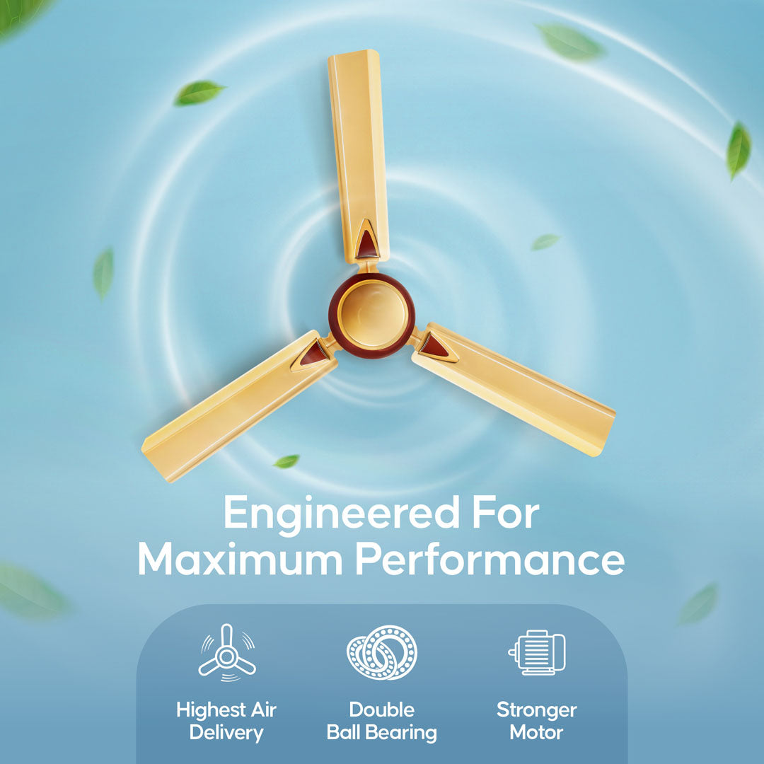 Longway Starlite-1 P1 1200 mm/48 inch Ultra High Speed 3 Blade Anti-Dust Decorative Star Rated Ceiling Fan (Pack of 1)