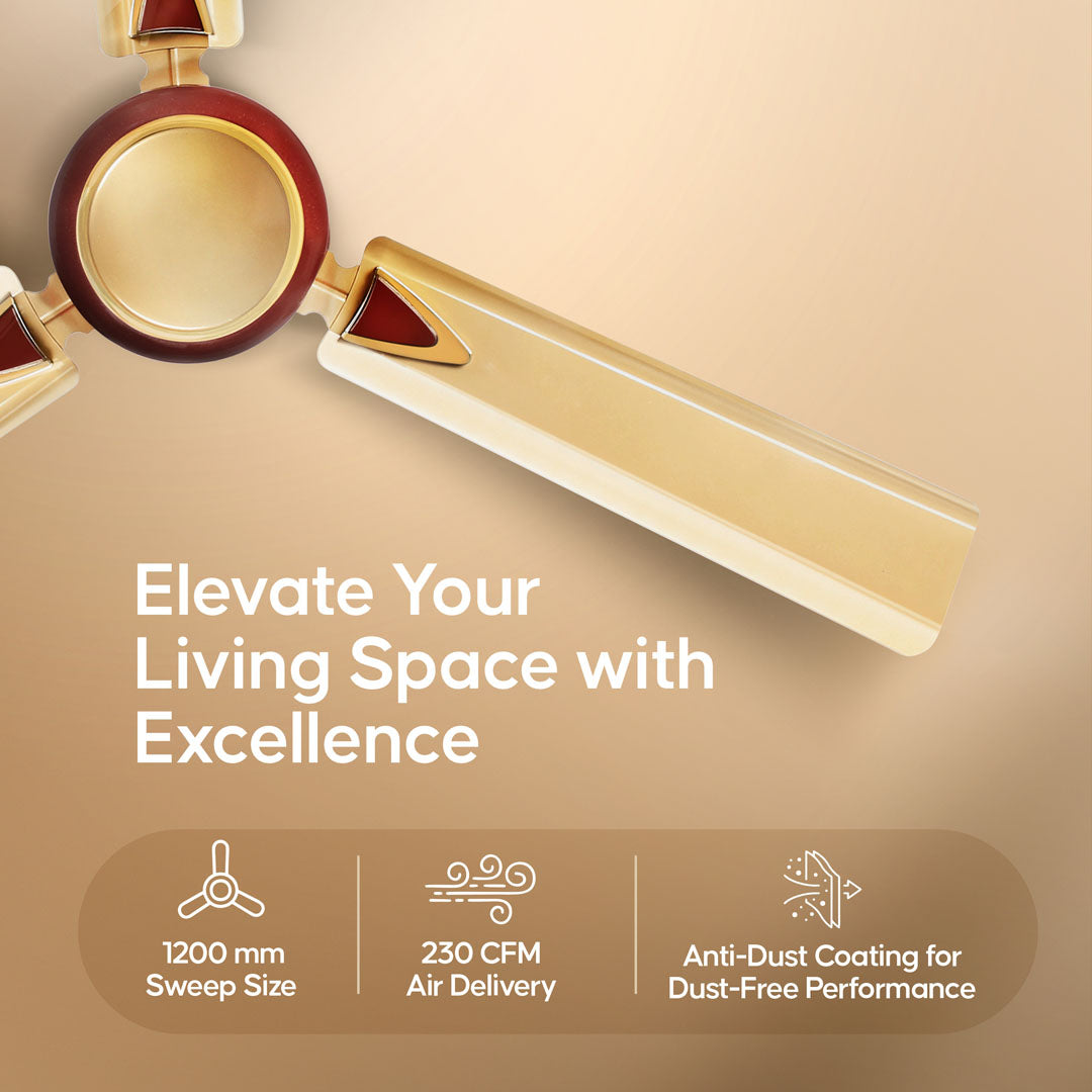 Longway Starlite-1 P1 1200 mm/48 inch Ultra High Speed 3 Blade Anti-Dust Decorative Star Rated Ceiling Fan (Pack of 1)