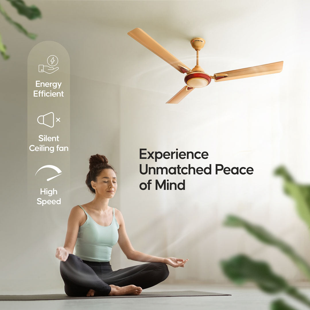 Longway Starlite-1 P1 1200 mm/48 inch Ultra High Speed 3 Blade Anti-Dust Decorative Star Rated Ceiling Fan (Pack of 1)