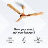 Longway Starlite-1 P1 1200 mm/48 inch Ultra High Speed 3 Blade Anti-Dust Decorative Star Rated Ceiling Fan (Pack of 1)