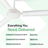 Longway Nexa P1 1200 mm/48 inch Ultra High Speed 3 Blade Anti-Dust Decorative Star Rated Ceiling Fan (Pack of 1)