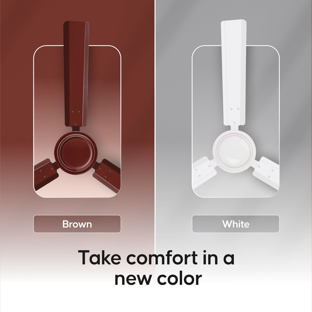 Longway Nexa P1 1200 mm/48 inch Ultra High Speed 3 Blade Anti-Dust Decorative Star Rated Ceiling Fan (Pack of 1)