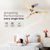 Longway Creta P1 1200 mm/48 inch Remote Controlled 3 Blade Anti-Dust Decorative Star Rated Ceiling Fan (Pack of 1)