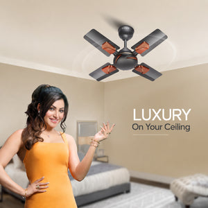 Longway Creta P1 600 mm/24 inch Ultra High Speed 4 Blade Anti-Dust Decorative Star Rated Ceiling Fan