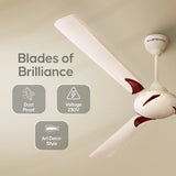 Blades of brillance - ceiling fans