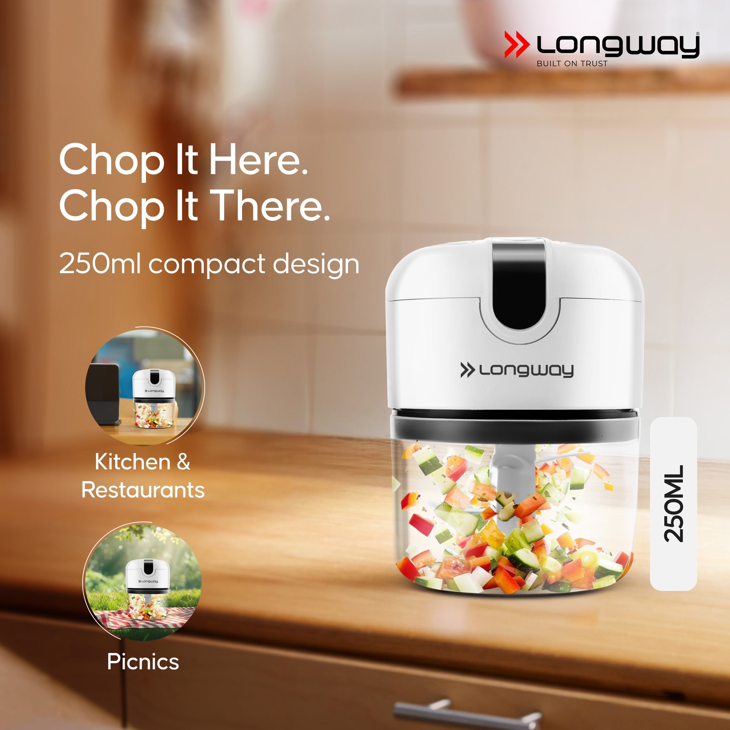Longway Slicer Rechargeable Mini Electric Chopper | 250ml Food Grade Bowl | Stainless Steel Blades | One Touch Operation | Chopping & Mincing Garlic, Onion, Ginger, Vegetable, Meat, Nuts| Portable & Compact | 1 Year Warranty (White)