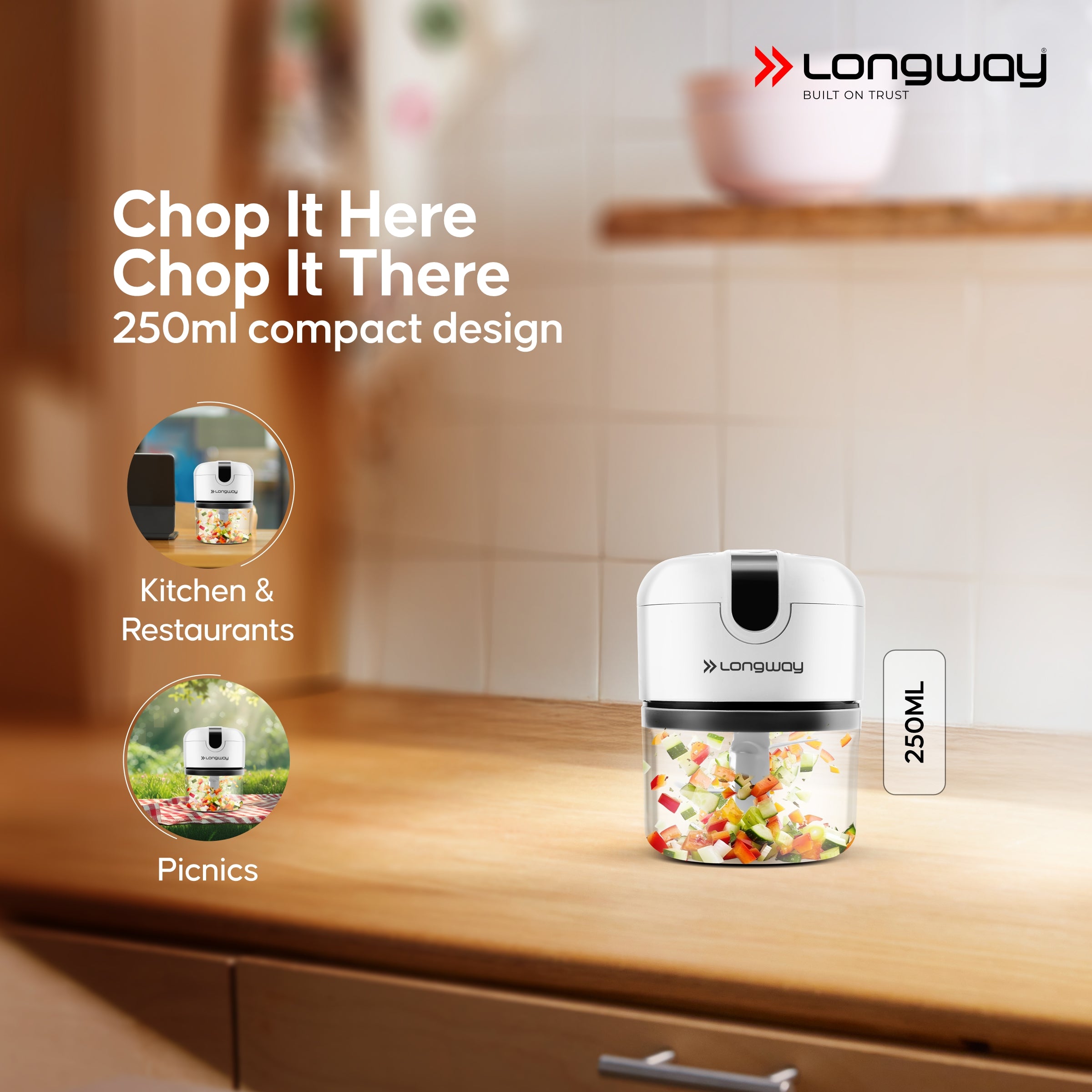 Longway Slicer Rechargeable Mini Electric Chopper | 250ml Food Grade Bowl | Stainless Steel Blades | One Touch Operation | Chopping & Mincing Garlic, Onion, Ginger, Vegetable, Meat, Nuts| Portable & Compact | 1 Year Warranty (White)