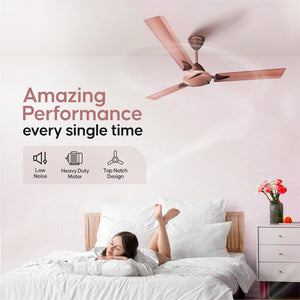 Longway Creta P2 1200 mm/48 inch Remote Controlled 3 Blade Anti-Dust Decorative Star Rated Ceiling Fan (Pack of 2)